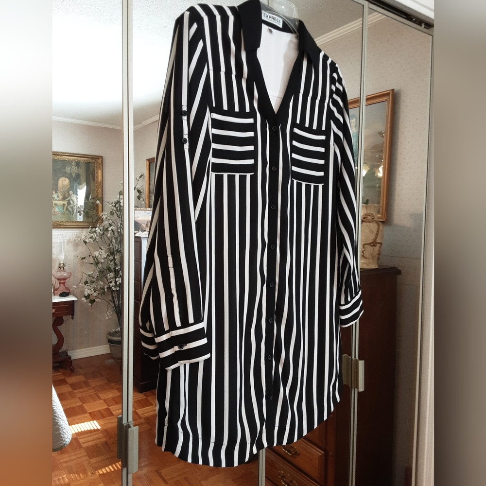 NEW, EXPRESS THE PORTOFIND SHIRT DRESS, SIZE XS - Picture 2 of 16